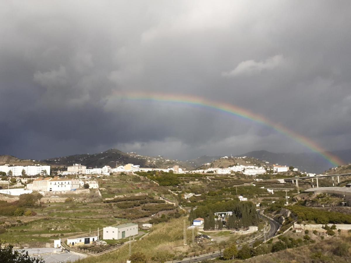 Casa Carino Lejlighed Torrox Eksteriør billede