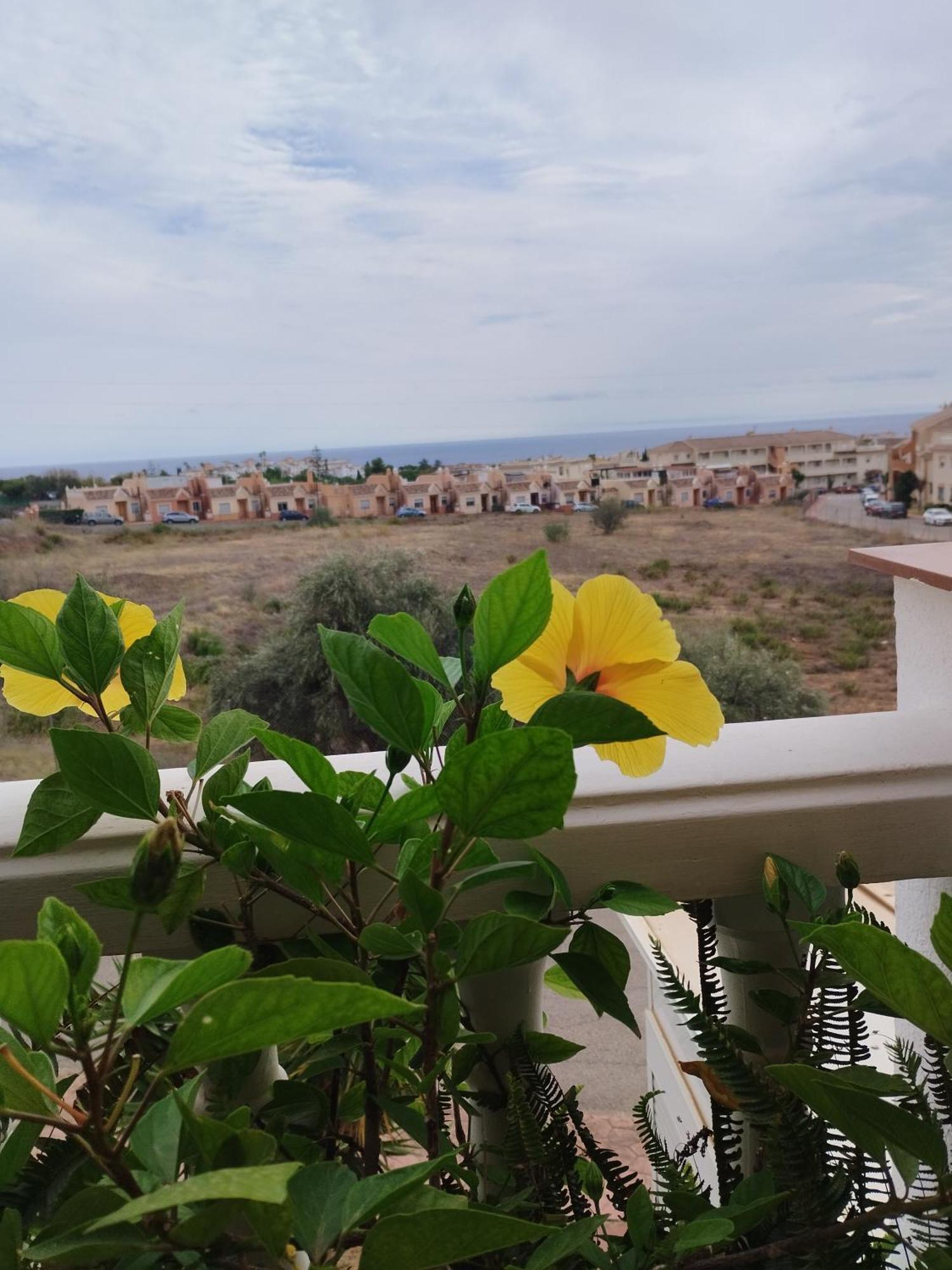 Casa Carino Lejlighed Torrox Eksteriør billede